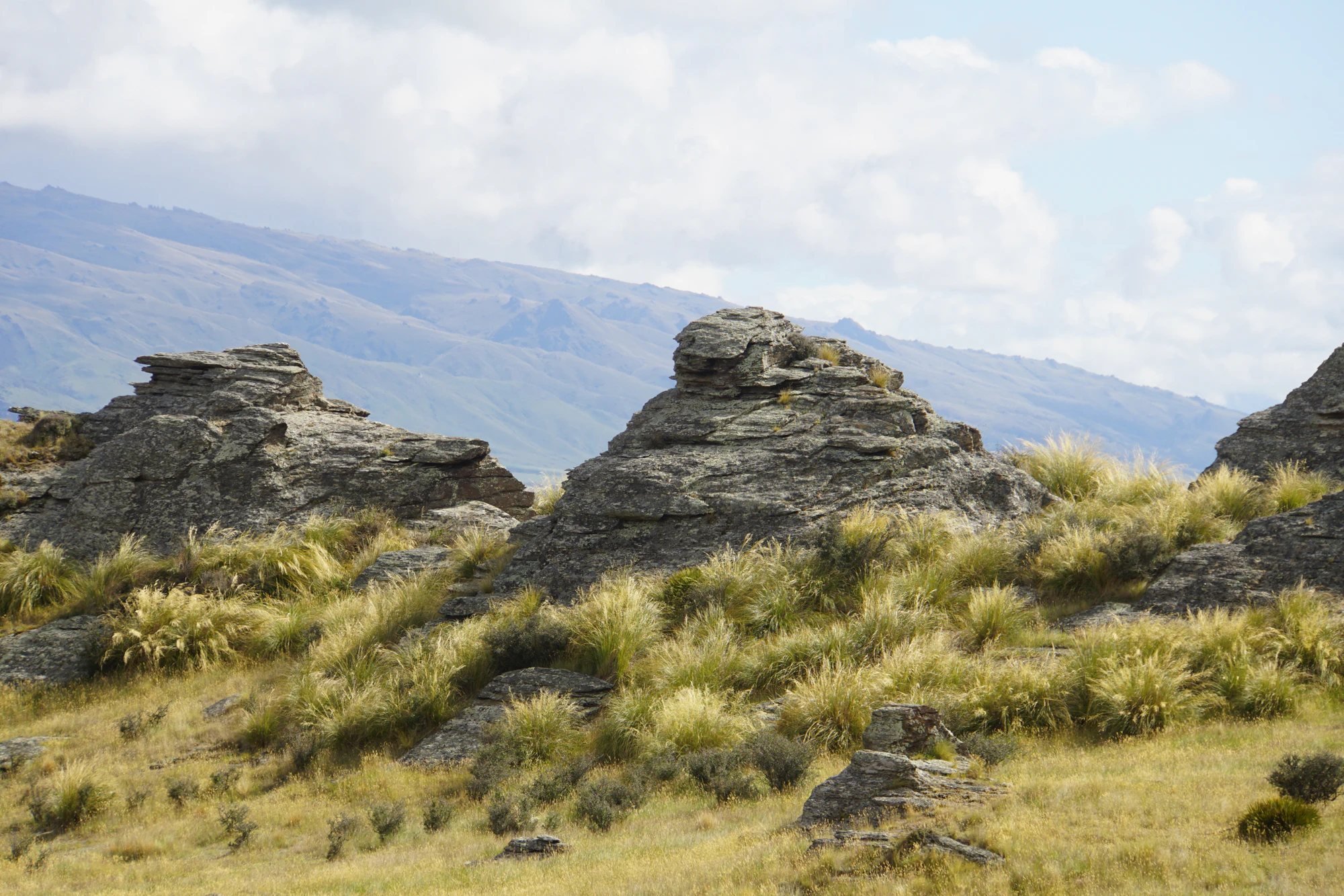 dry field rocks 162 — Descargar