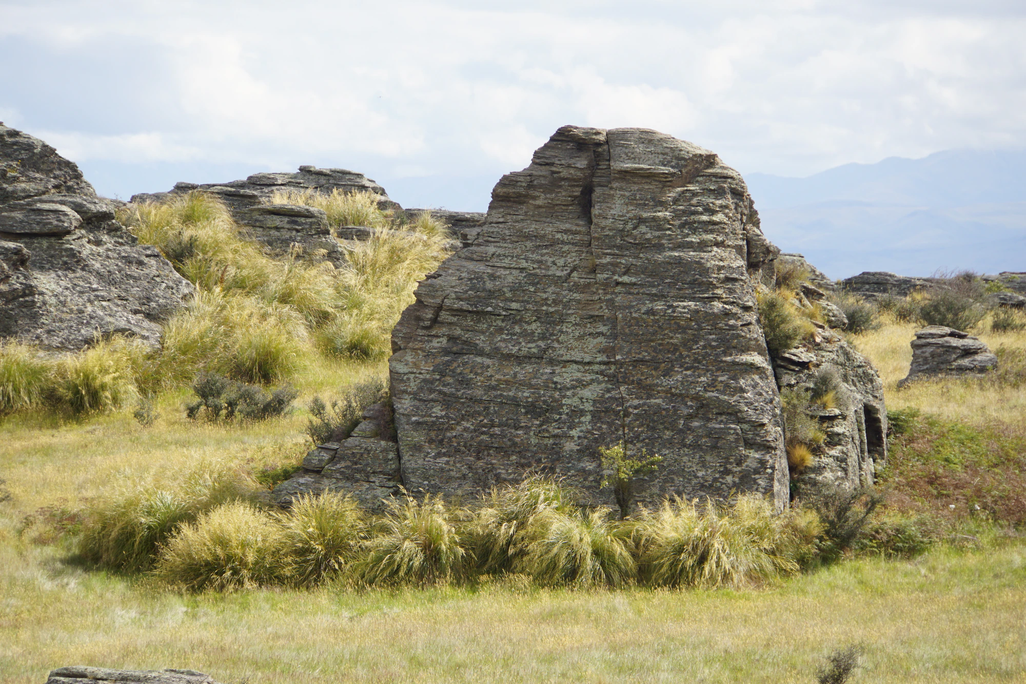 dry field rocks 163 — Скачать