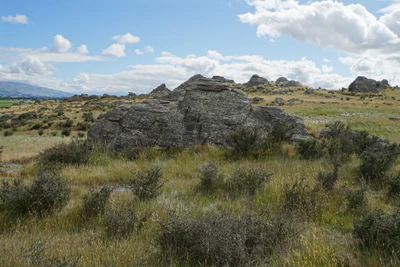 dry field rocks 164 — download