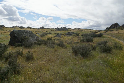 dry field rocks 165 — download