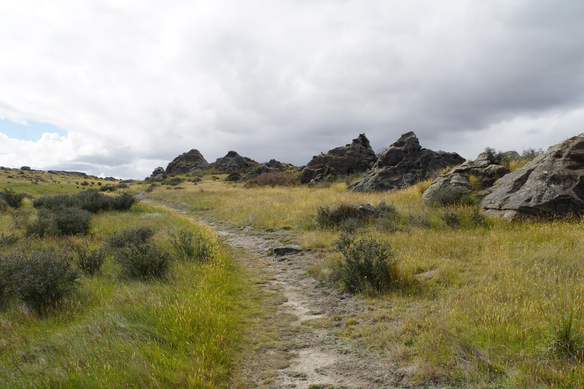 dry field rocks 166 — Скачать