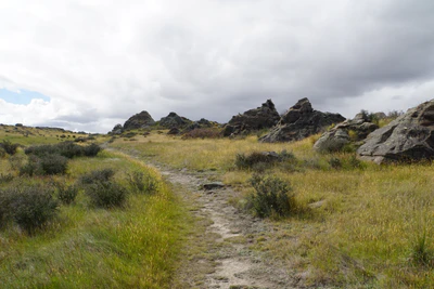 dry field rocks 166 — download