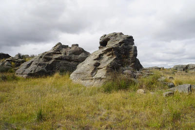 dry field rocks 167 — download