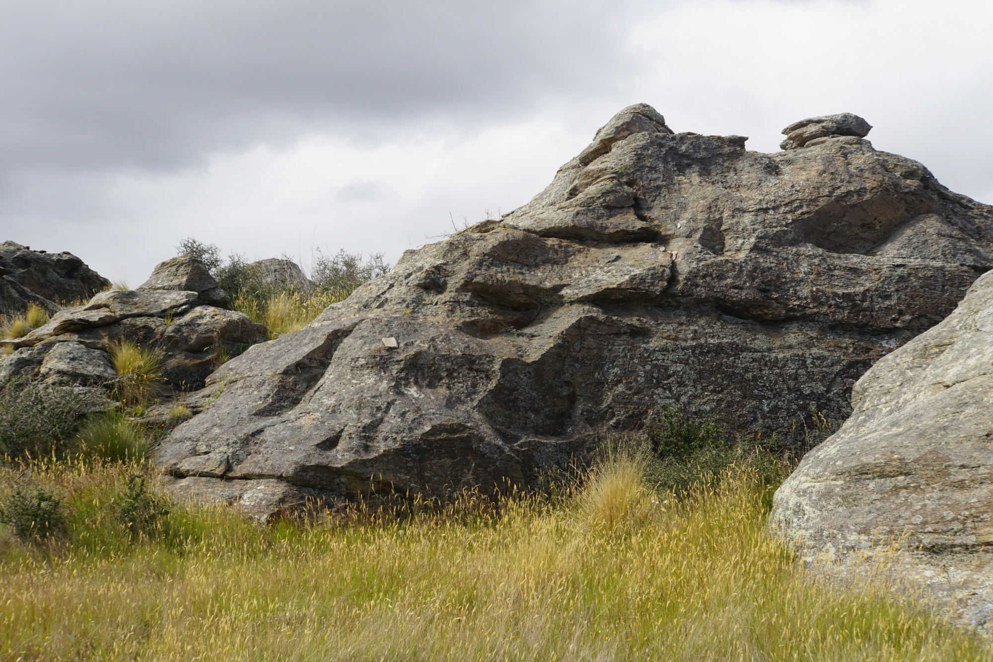 dry field rocks 169 — Скачать