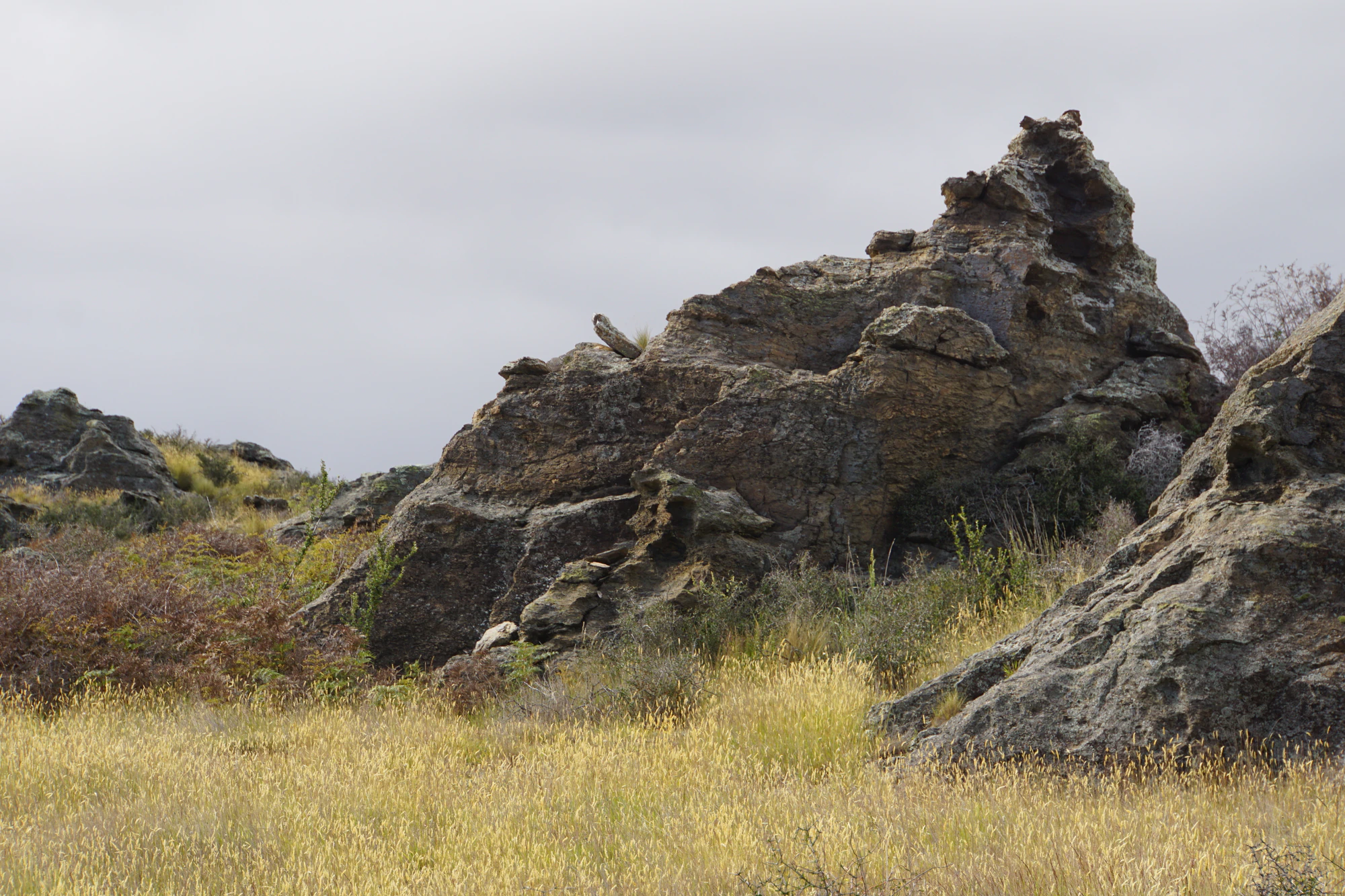 dry field rocks 171 — Скачать