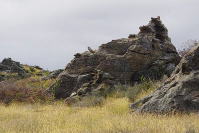 dry field rocks 171 — download