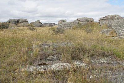 dry field rocks 172 — download