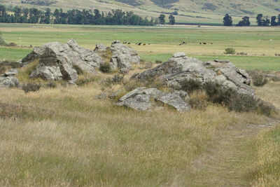 dry field rocks 173 — download