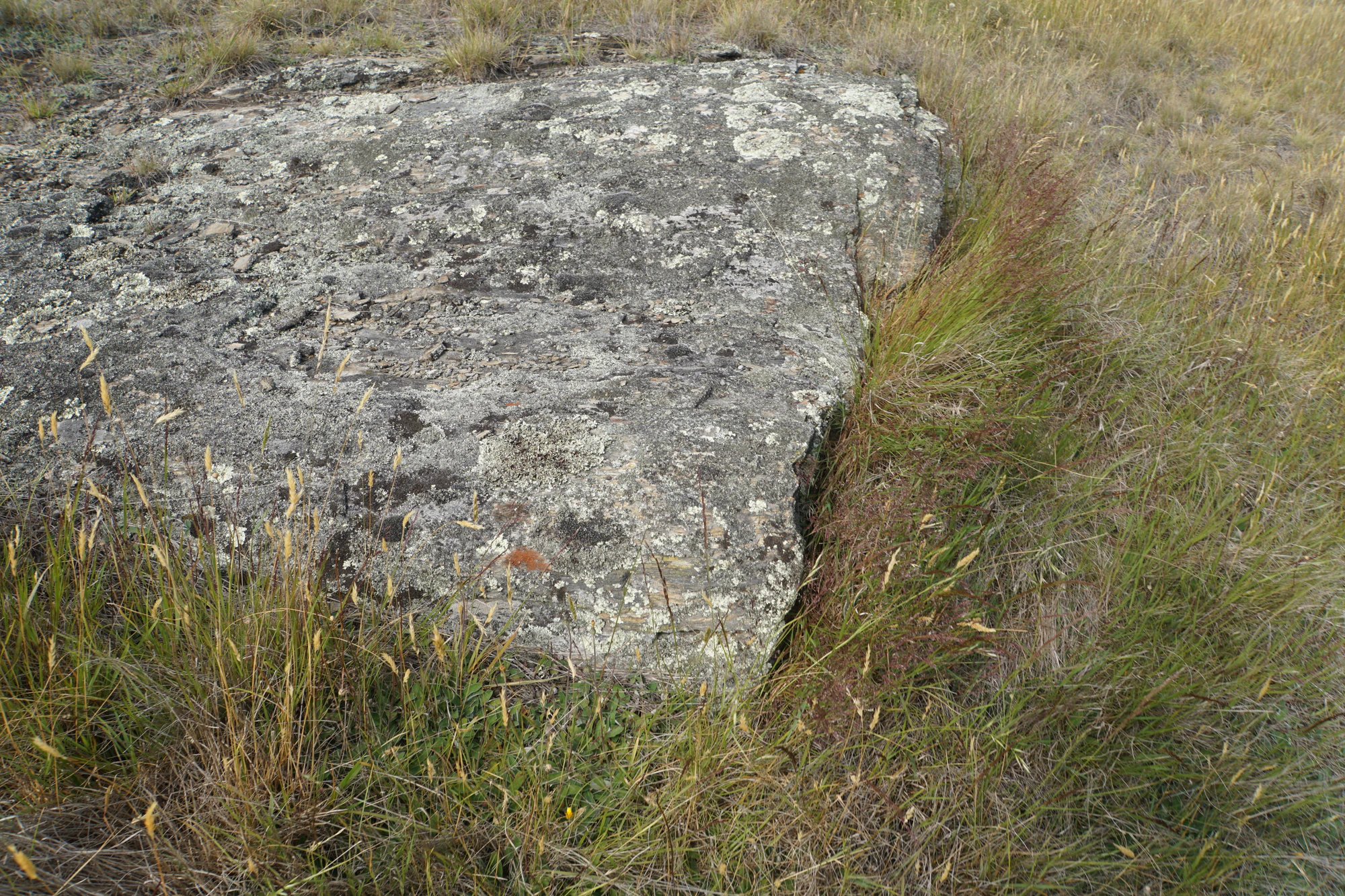 dry field rocks 175 — Скачать