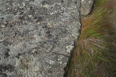 dry field rocks 176 — download