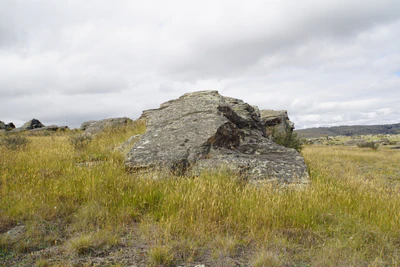 dry field rocks 177 — download