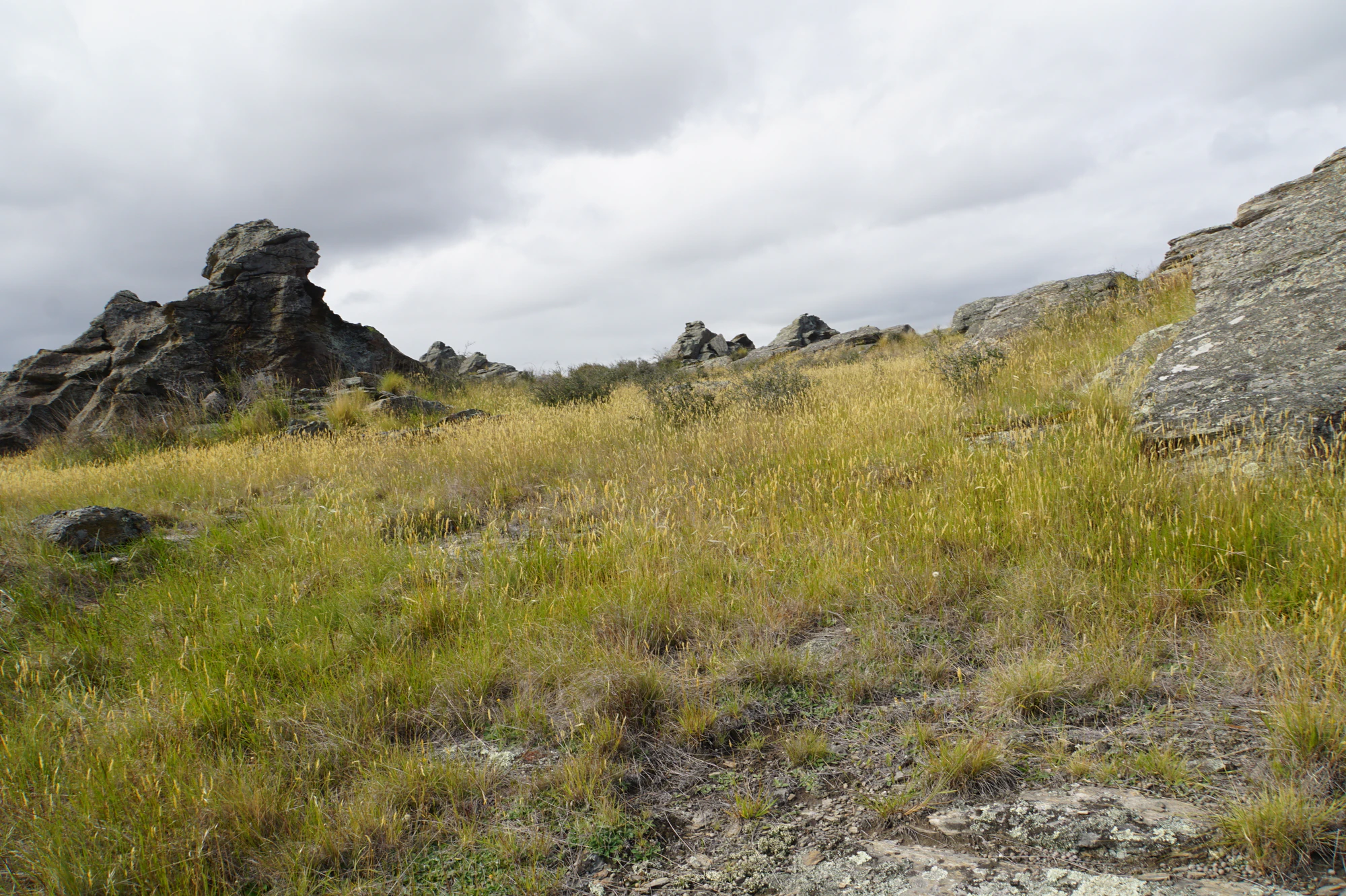 dry field rocks 178 — Скачать