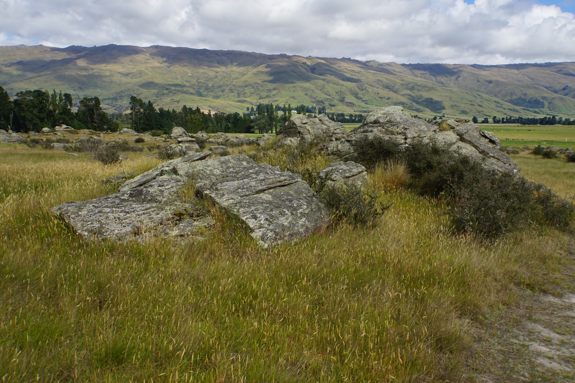 dry field rocks 179 — Скачать