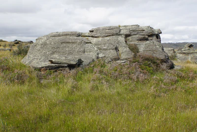 dry field rocks 181 — download