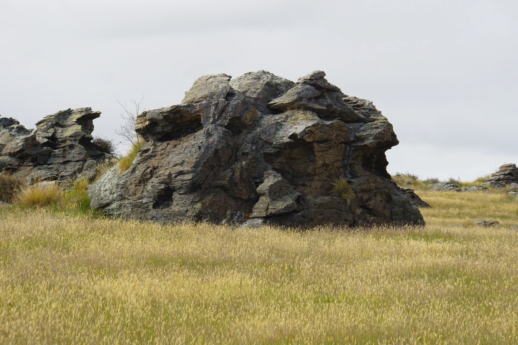 dry field rocks 182 — Descargar