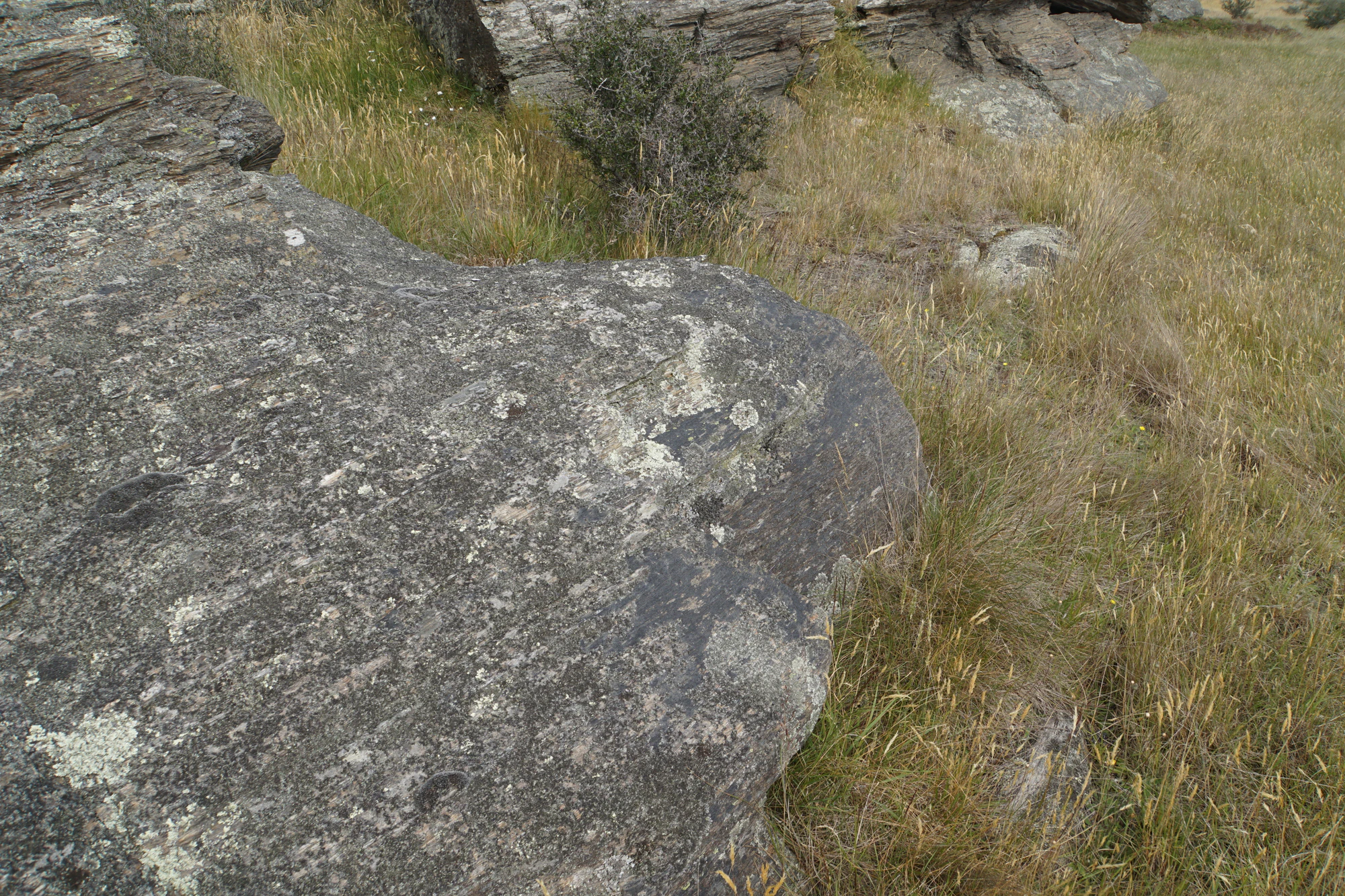 dry field rocks 185 — Descargar