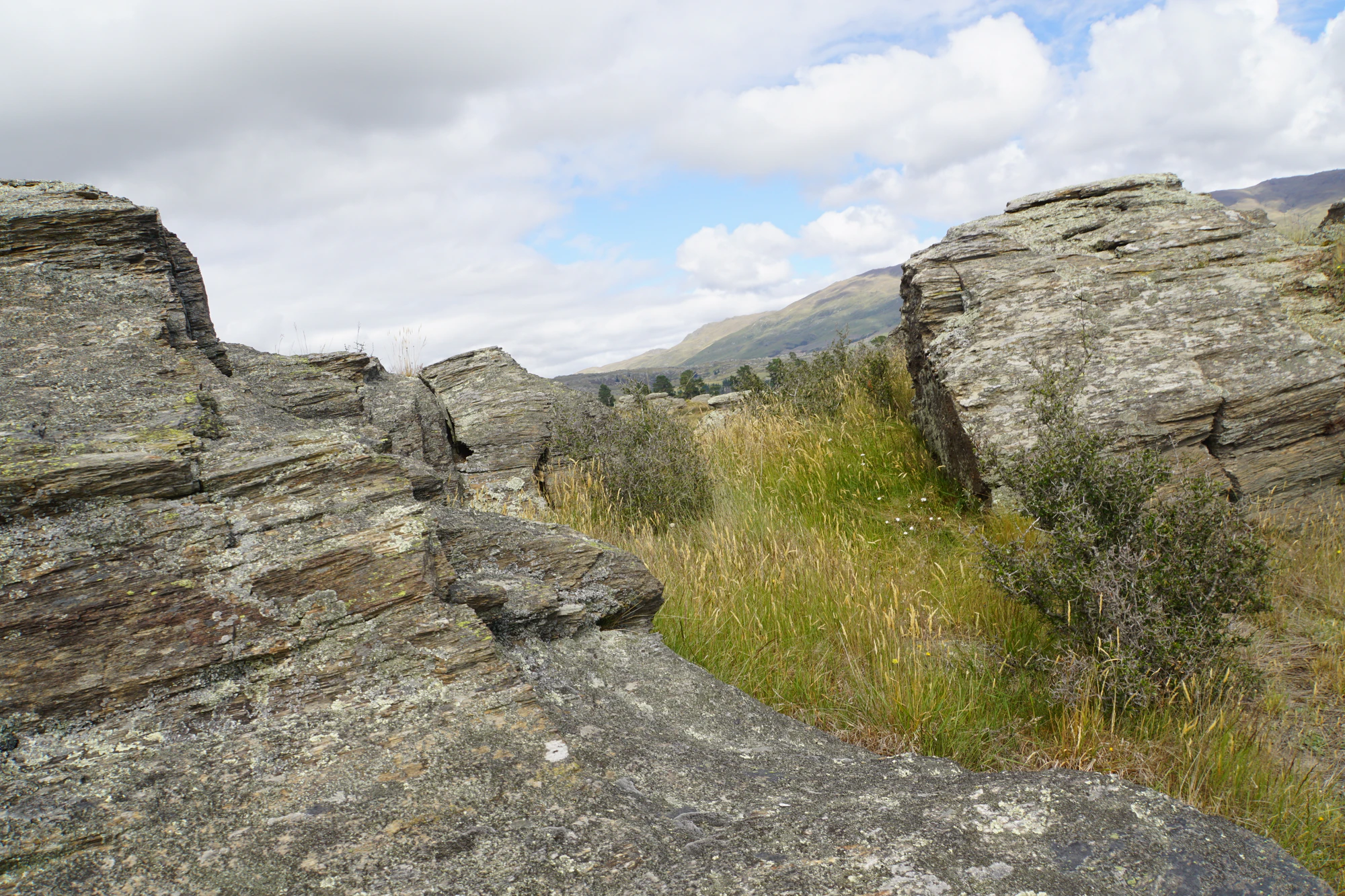 dry field rocks 187 — Descargar