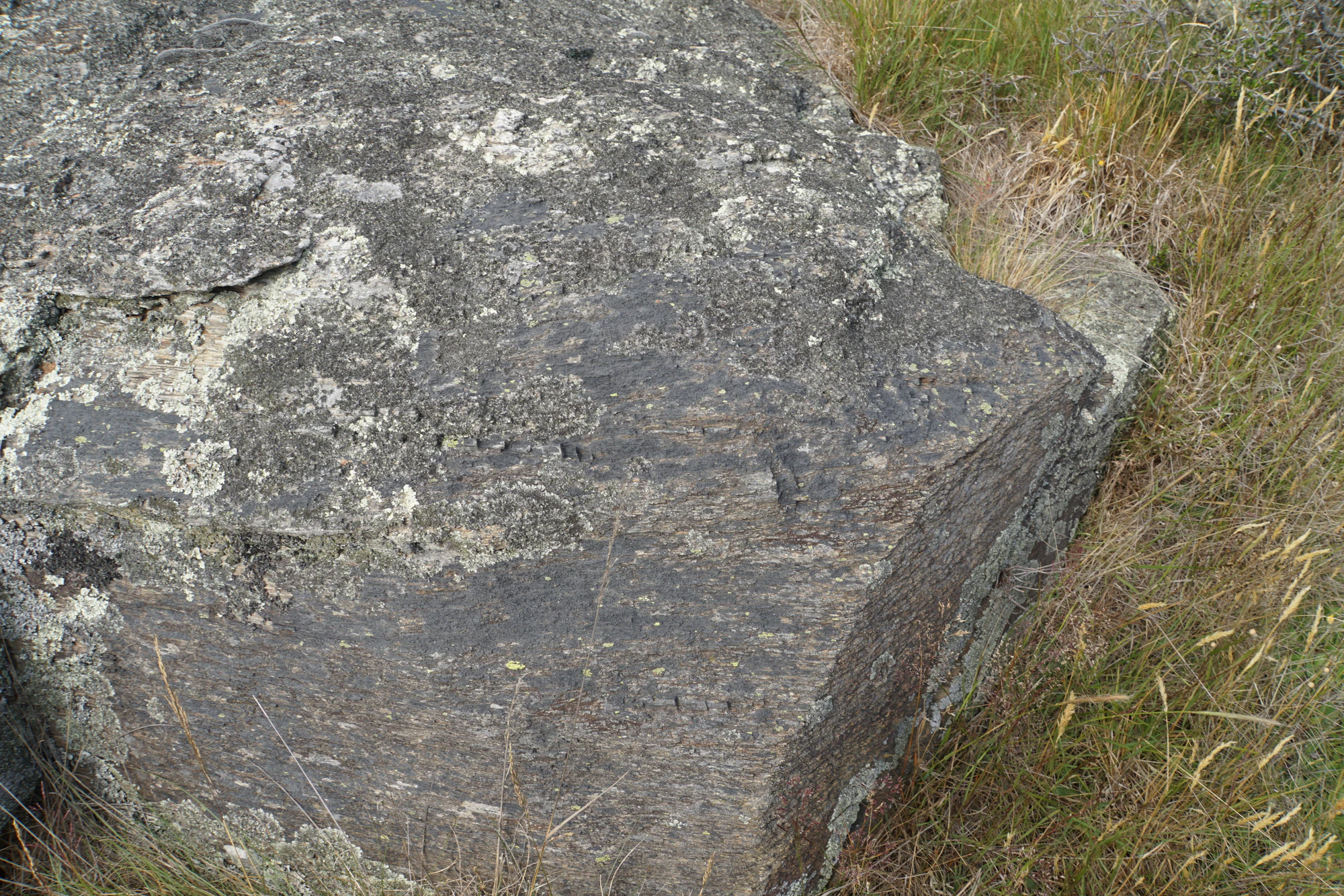 dry field rocks 188 — Скачать