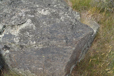 dry field rocks 188 — download