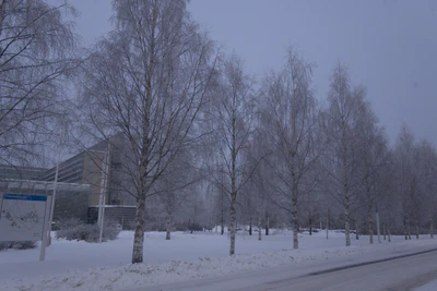 frosty trees 041 — Скачать