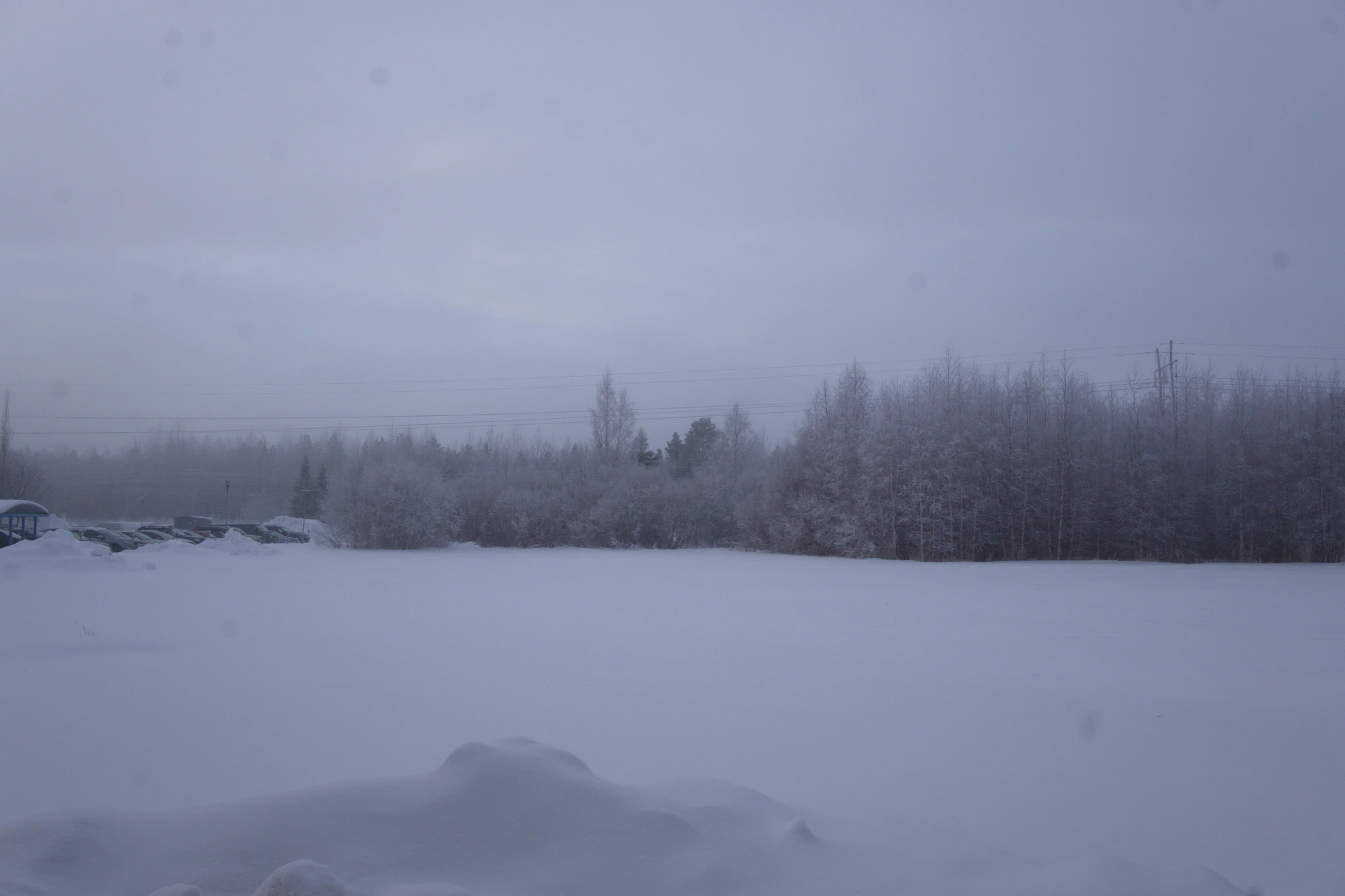 frosty trees 046 — Descargar
