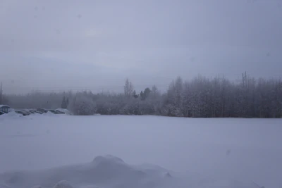 frosty trees 046 — Descargar