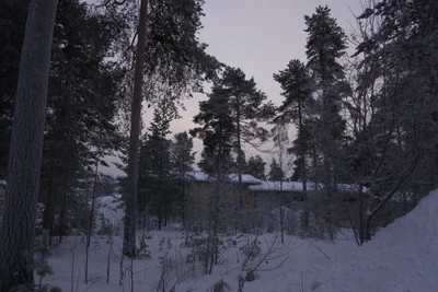 frosty trees 126 — Descargar