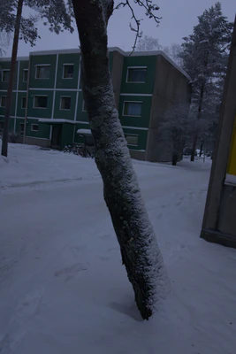 frosty trees 130 — Скачать