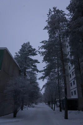 frosty trees 131 — Скачать
