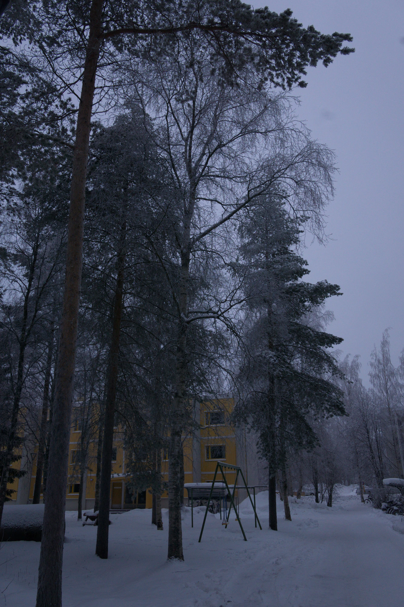 frosty trees 132 — Скачать