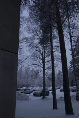 frosty trees 137 — Descargar