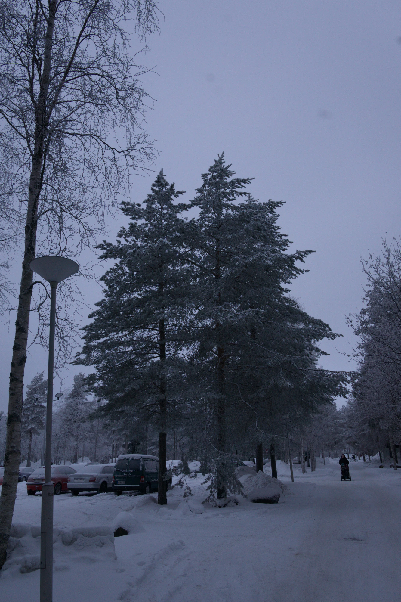 frosty trees 138 — Descargar