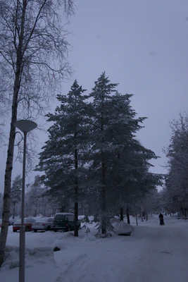 frosty trees 138 — Descargar