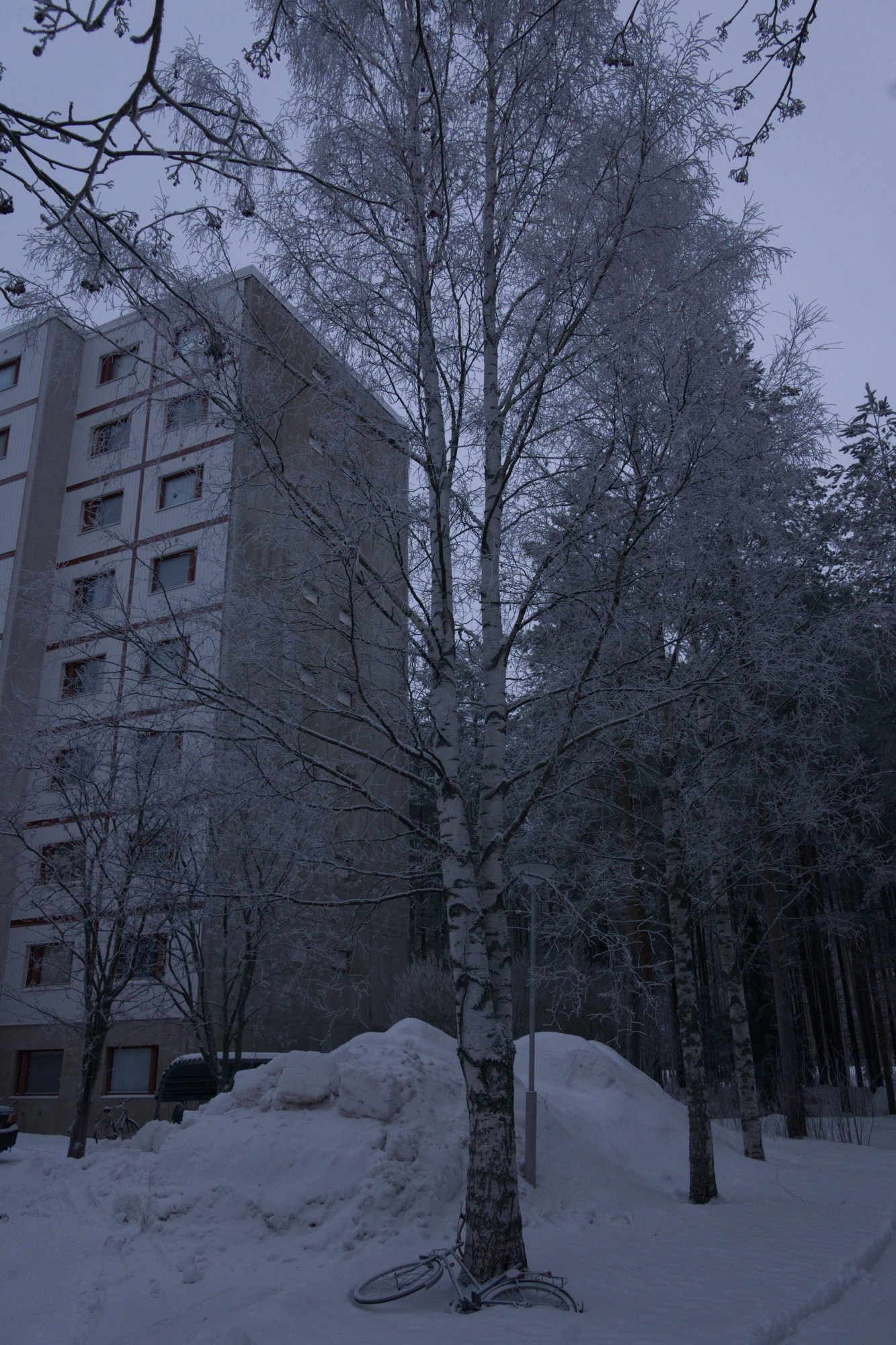 frosty trees 139 — Скачать