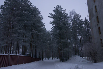 frosty trees 151 — Descargar