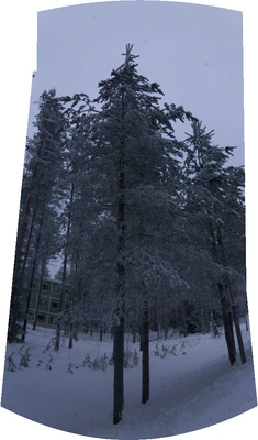 frosty trees 175 — Скачать