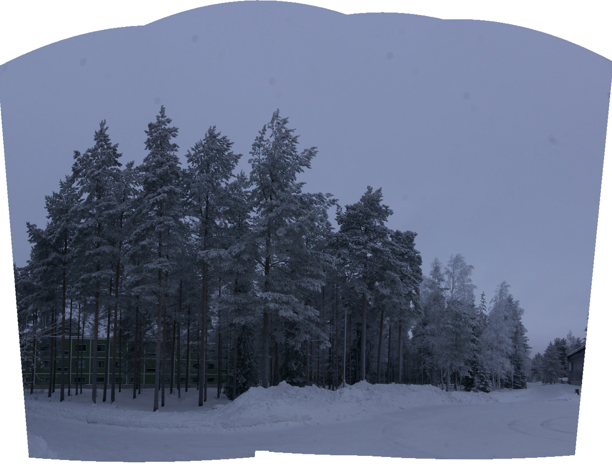 frosty trees 179 — Скачать