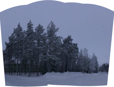 frosty trees 179 — Скачать