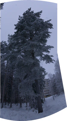 frosty trees 227 — Скачать