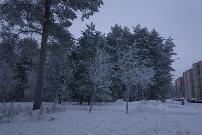 frosty trees 257 — Descargar
