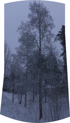 frosty trees 260 — Descargar