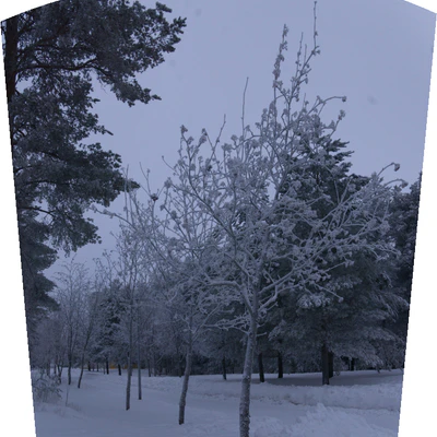 frosty trees 269 — Descargar