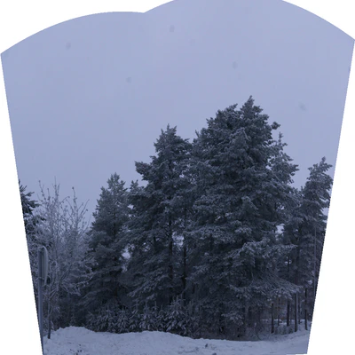 frosty trees 273 — Скачать