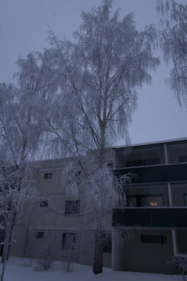 frosty trees 287 — Descargar