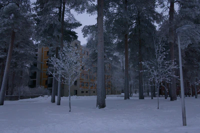 frosty trees 305 — скачать