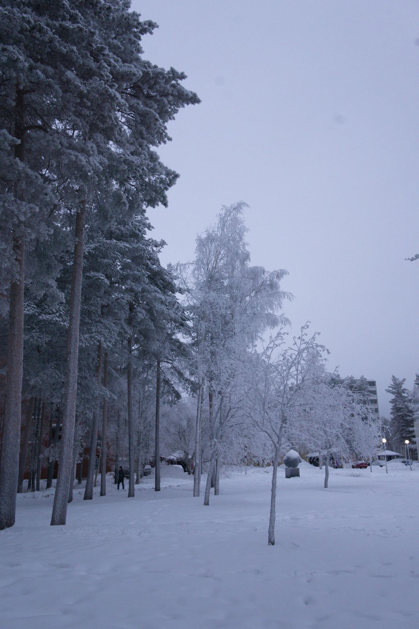 frosty trees 317 — Descargar