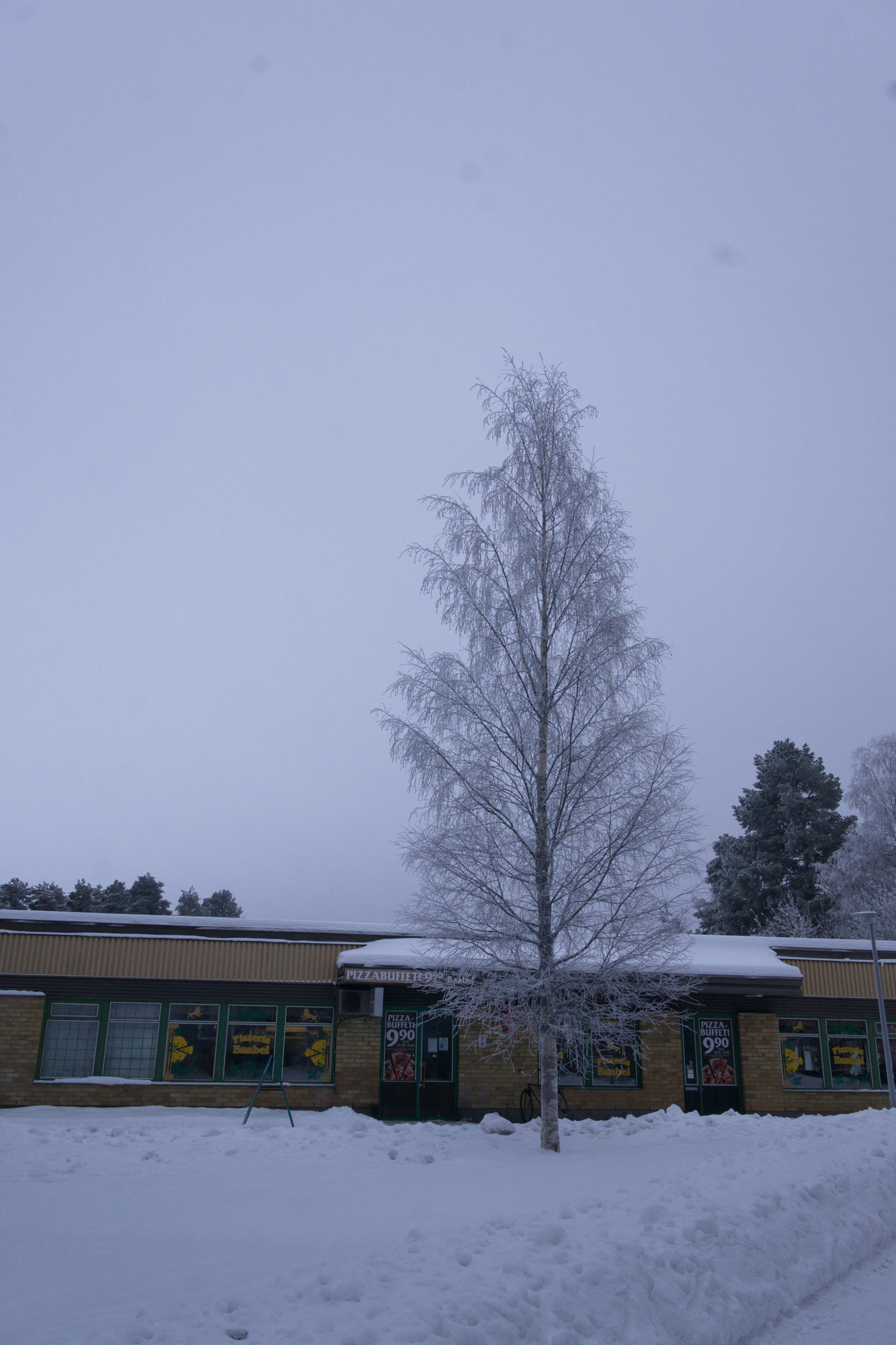 frosty trees 325 — Скачать