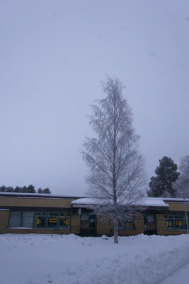 frosty trees 325 — скачать