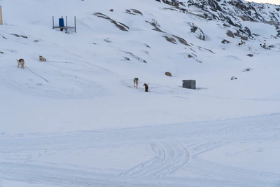greenland town 020 — Download