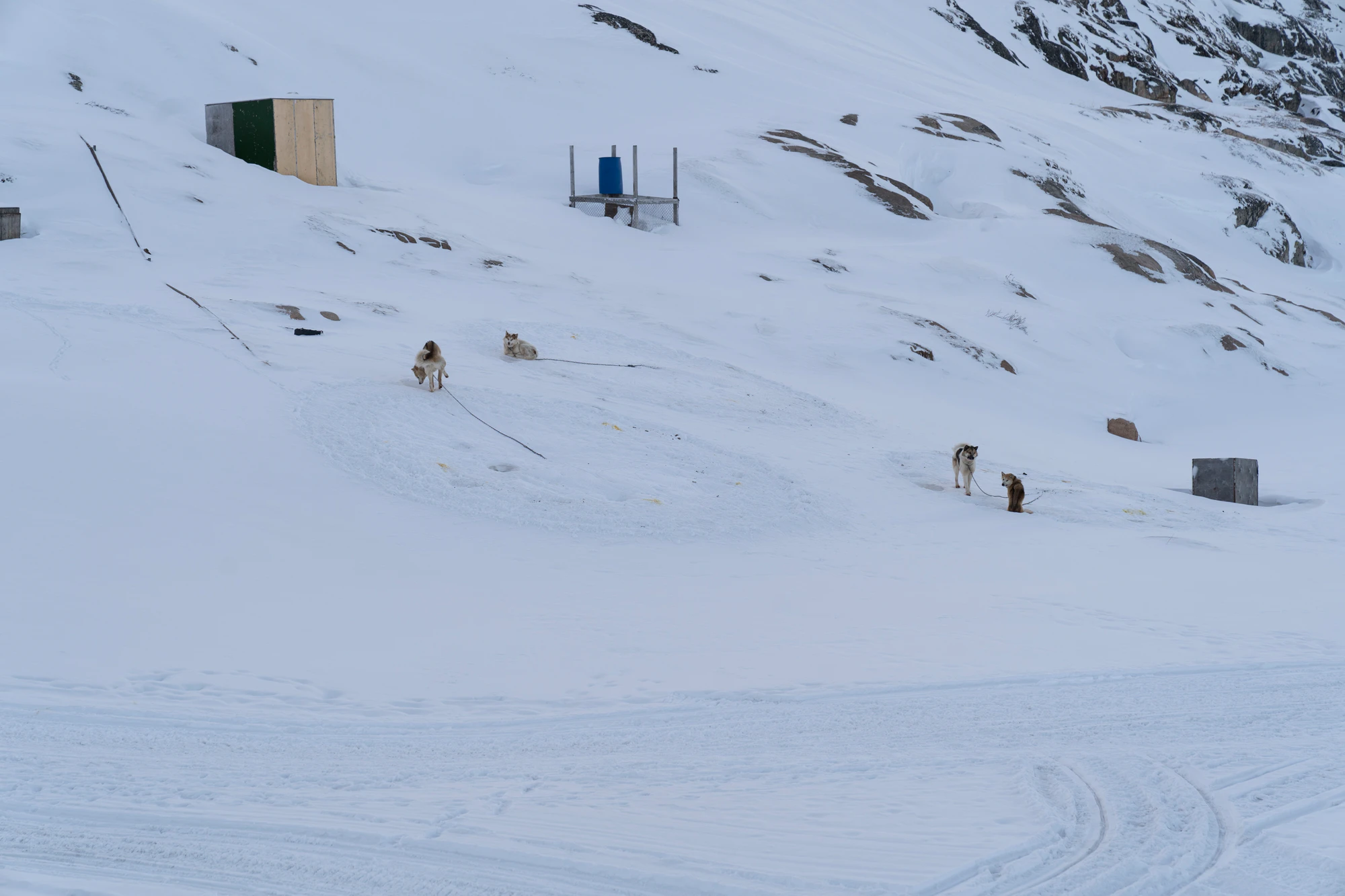 greenland town 021 — Скачать